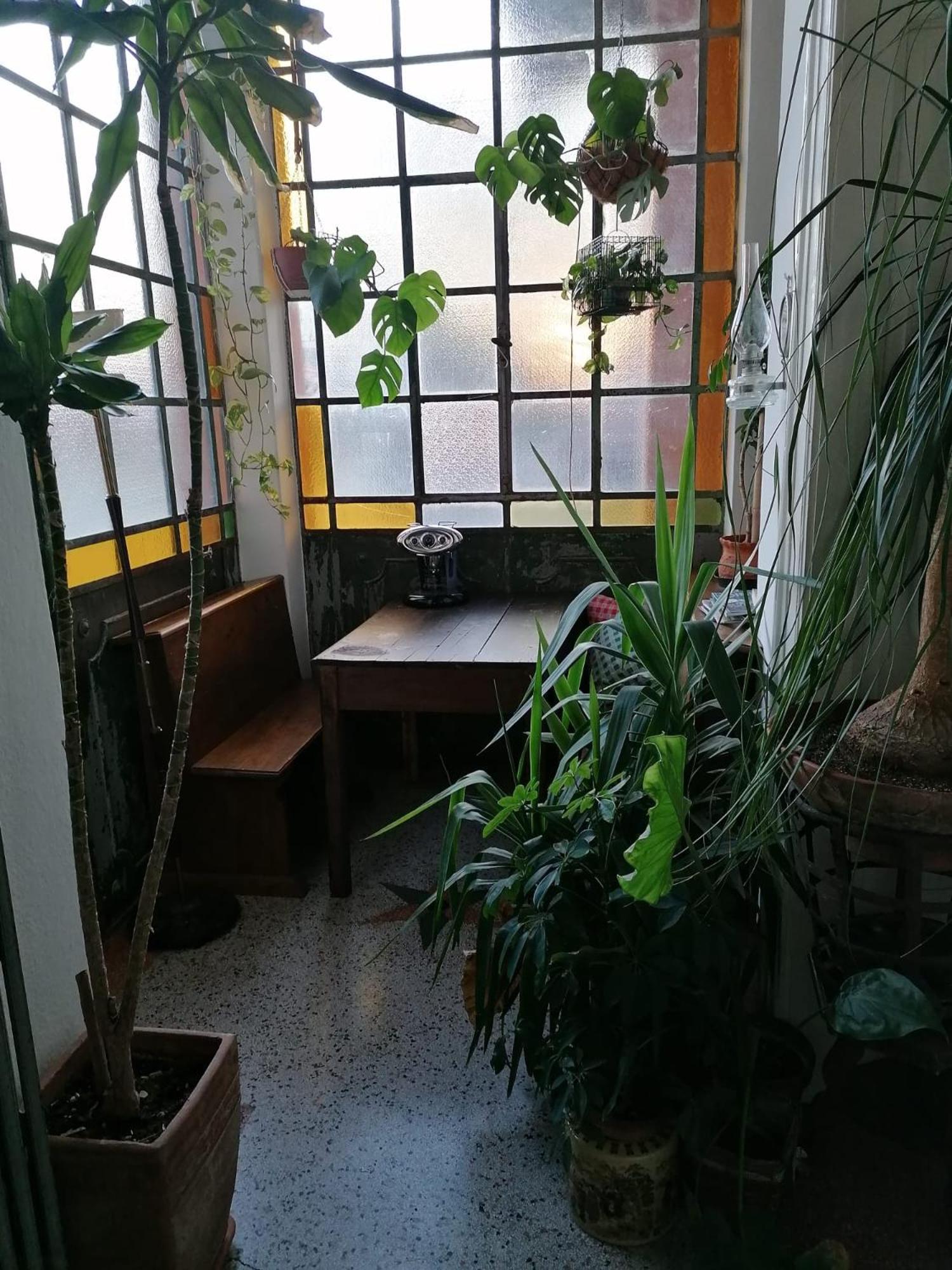 The Liberty Terrace Bed and Breakfast Udine Exteriör bild